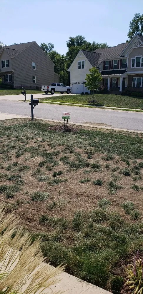 Local landscape installation for homes in Prince George, VA by All American Landscaping