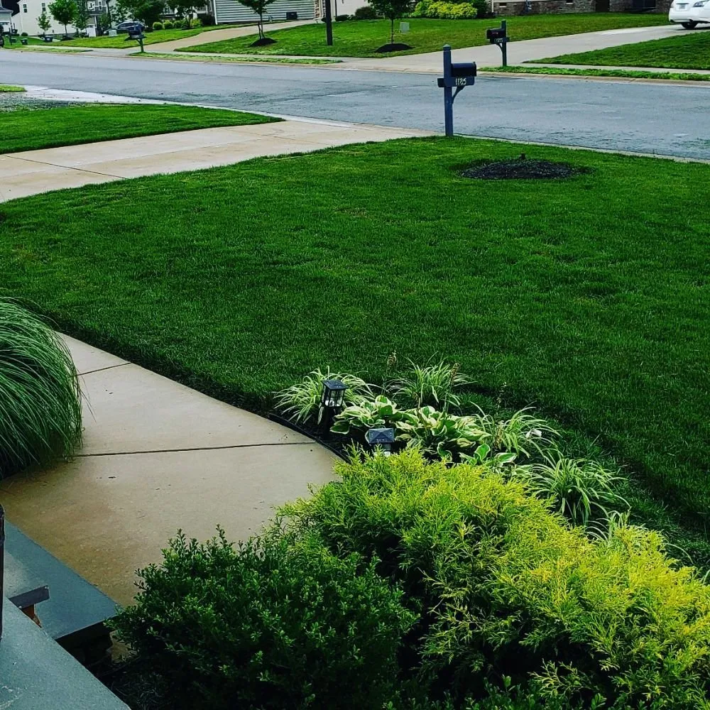 Affordable outdoor landscaping for year-round maintenance across Prince George, VA - All American Landscaping