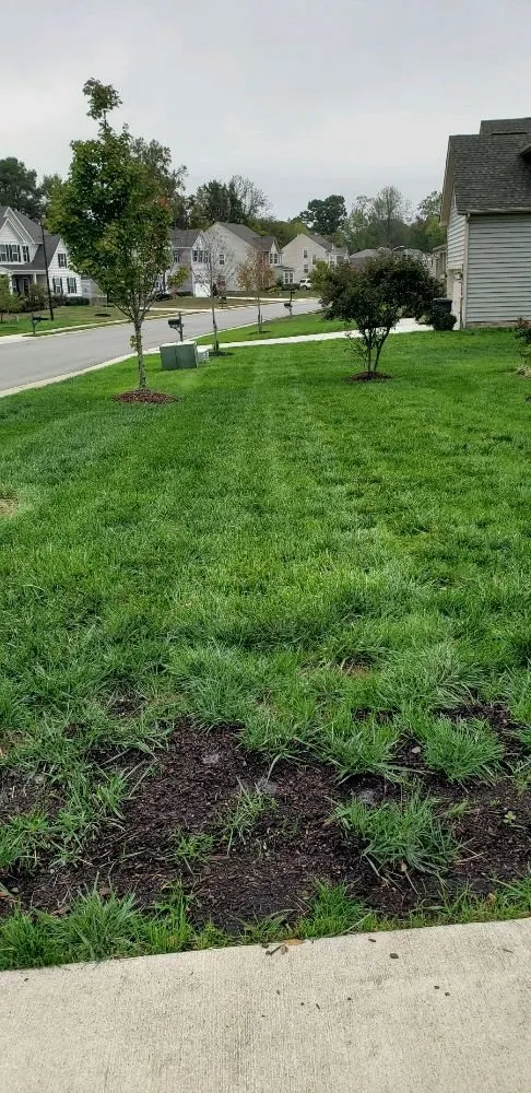 Custom lawn mowing service near you in Prince George, VA by All American Landscaping