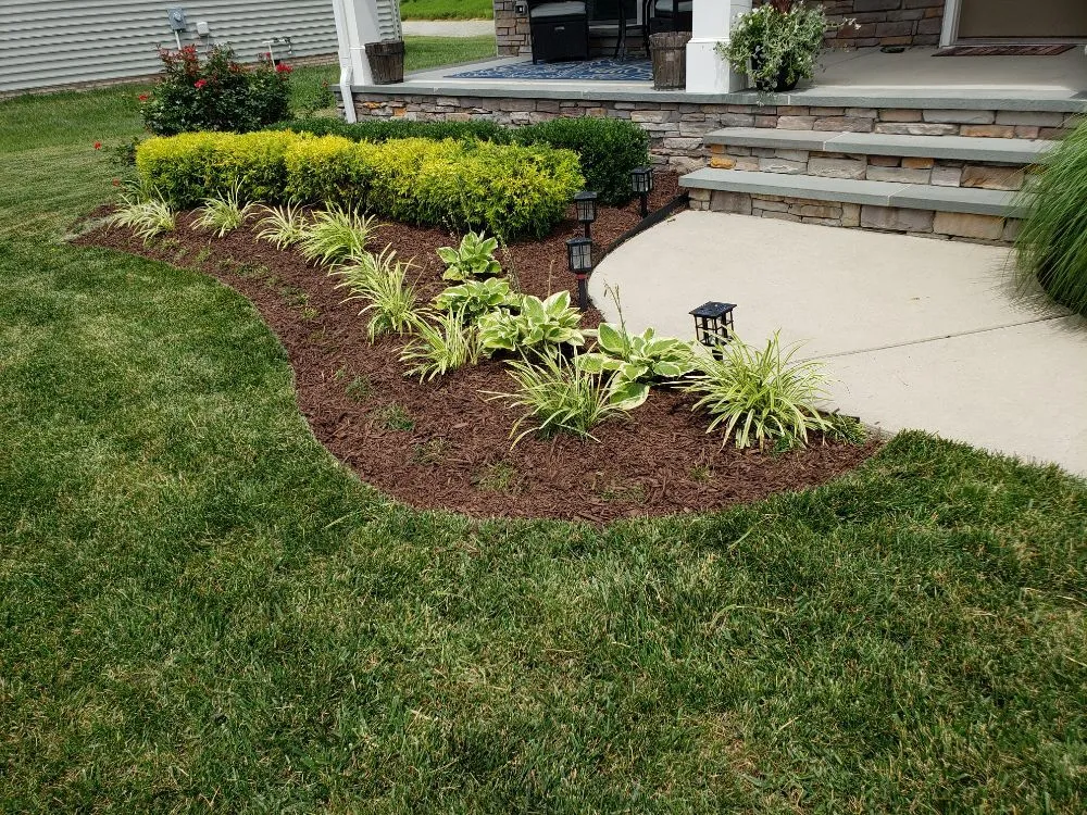 Custom yard cleanup service in Prince George, VA by All American Landscaping