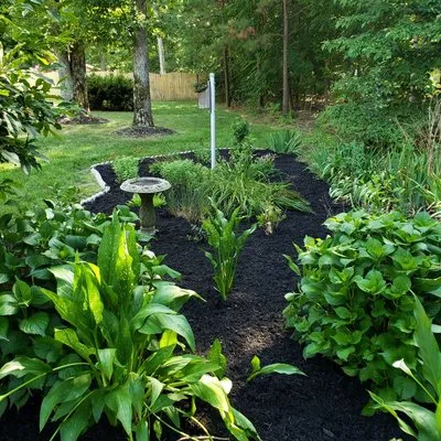 All American Landscaping