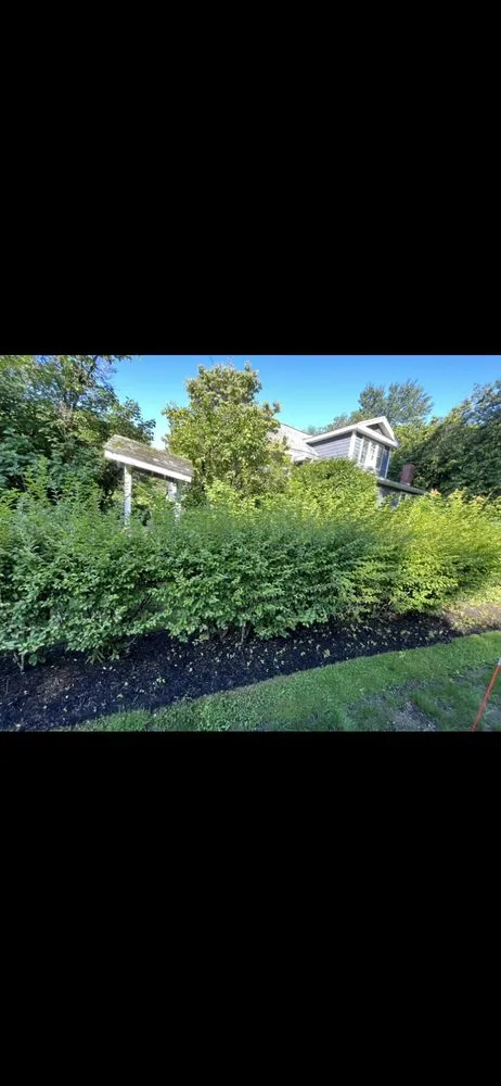 Reliable yard cleanup service experts serving Salem, MA - All American Landscaping