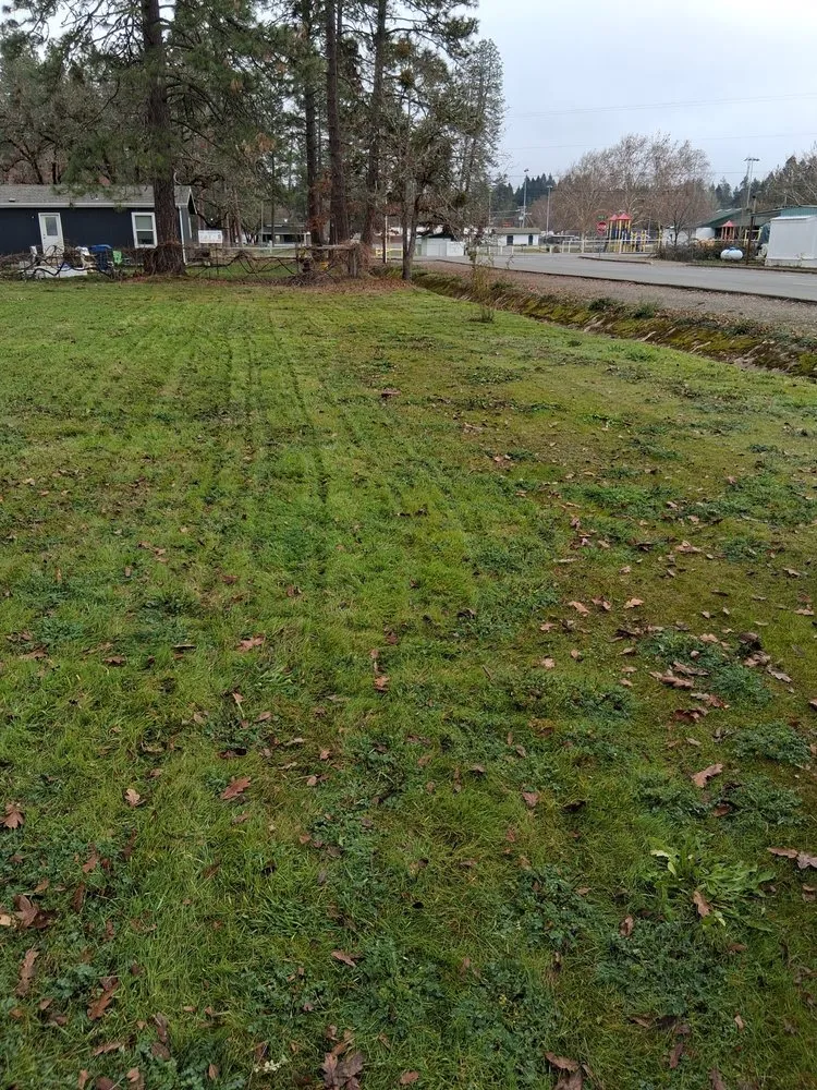 Top-rated yard maintenance in Talent, OR by All American Landscaping