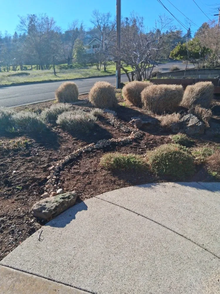 Professional outdoor landscaping in Talent, OR by All American Landscaping