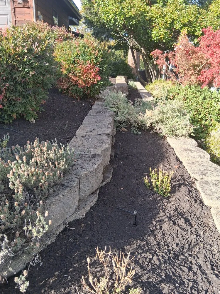 Local yard maintenance for year-round maintenance across Talent, OR - All American Landscaping