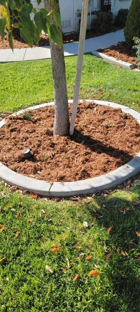 Top-rated residential landscaping in Yucaipa, CA by All-American Landscaping