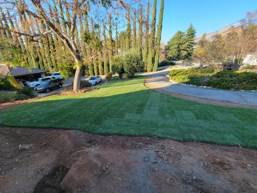Top-rated residential landscaping in Yucaipa, CA - All-American Landscaping