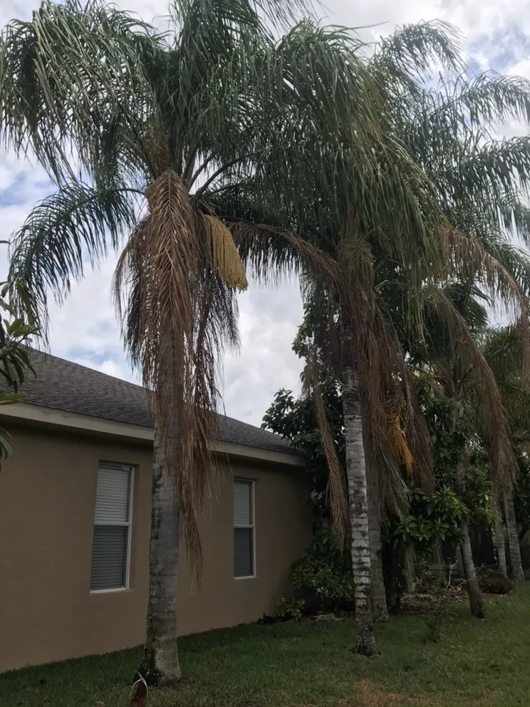 Trusted landscaping services in Dover, FL by All American Lawn & Irrigation