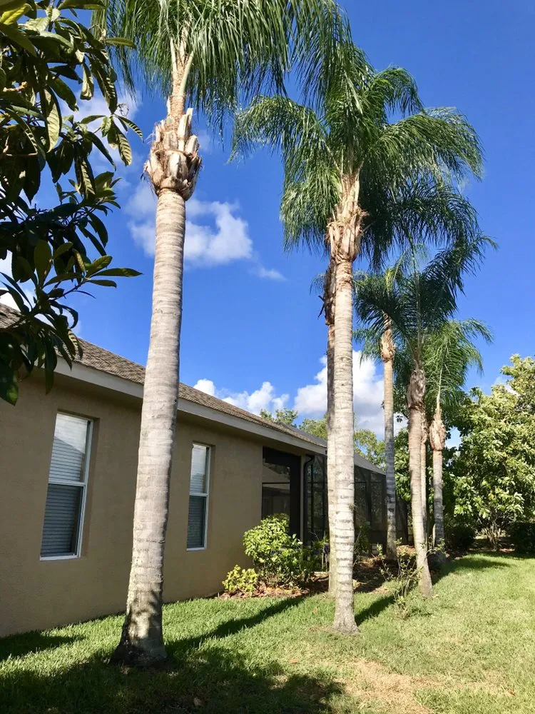 Professional lawn care service in Dover, FL - All American Lawn & Irrigation