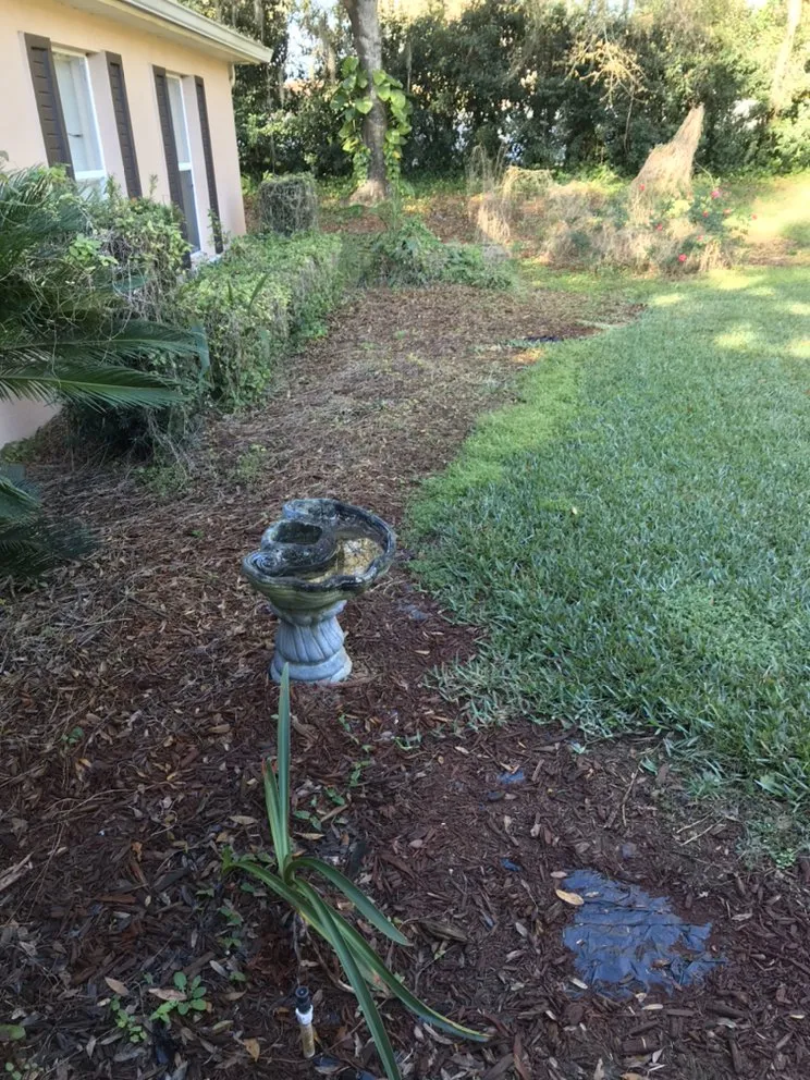 Expert residential landscaping in Dover, FL - All American Lawn & Irrigation