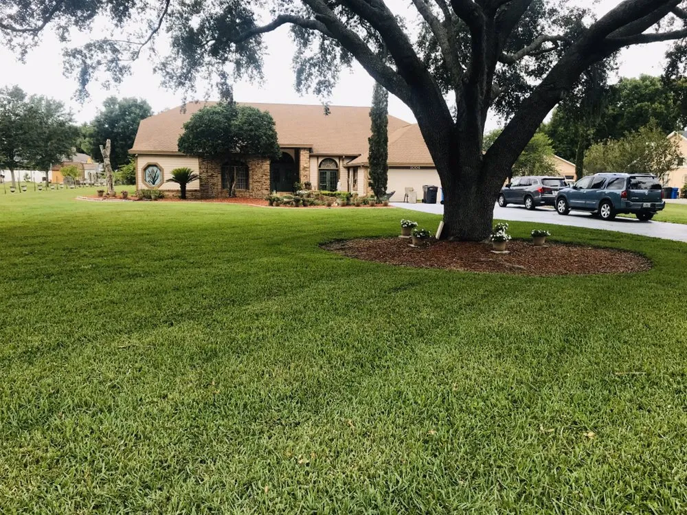 Expert landscape installation in Dover, FL - All American Lawn & Irrigation