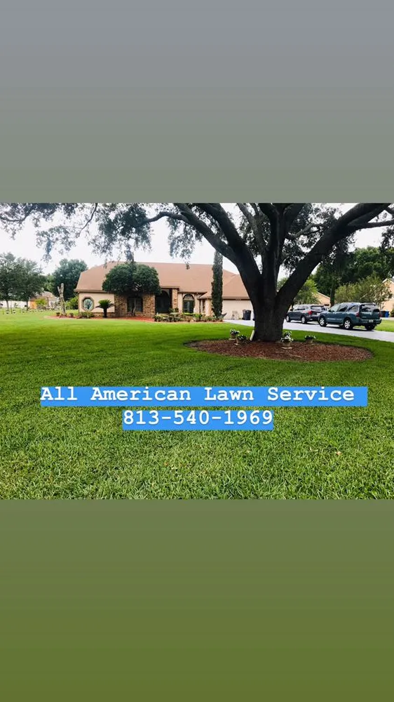 Expert landscape design near you in Dover, FL by All American Lawn & Irrigation
