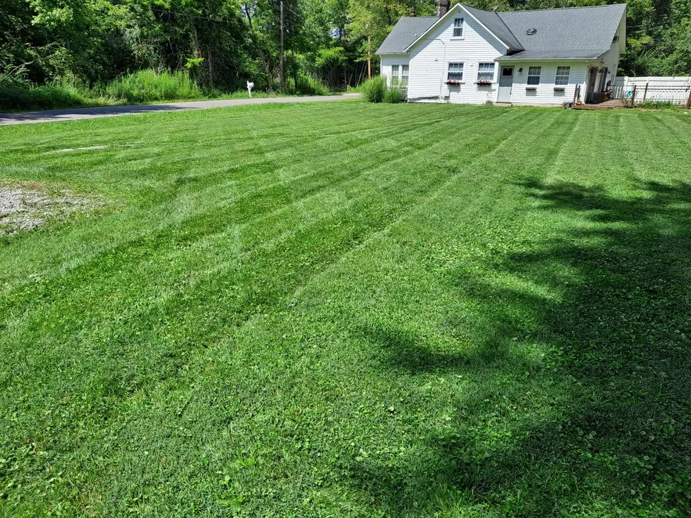 Local yard cleanup service experts serving Amelia, OH - All-American Lawn & Landscape