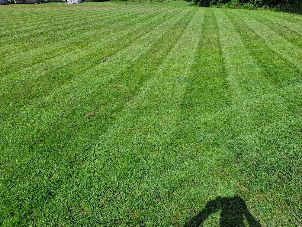 Custom landscaping services experts serving Amelia, OH - All-American Lawn & Landscape