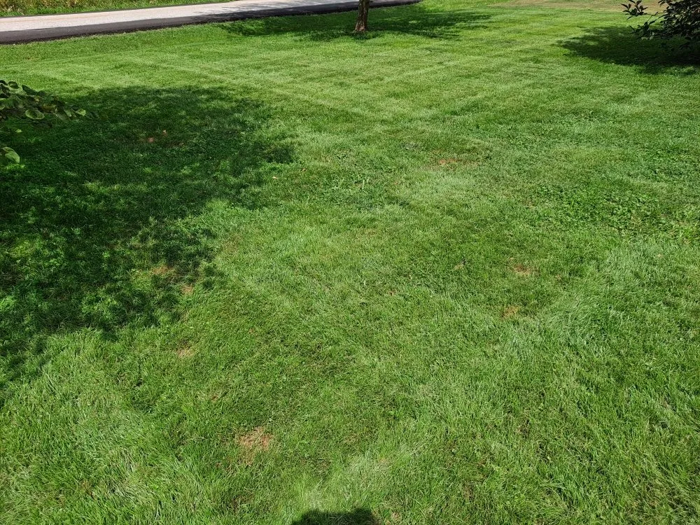 Trusted lawn mowing service experts serving Amelia, OH - All-American Lawn & Landscape