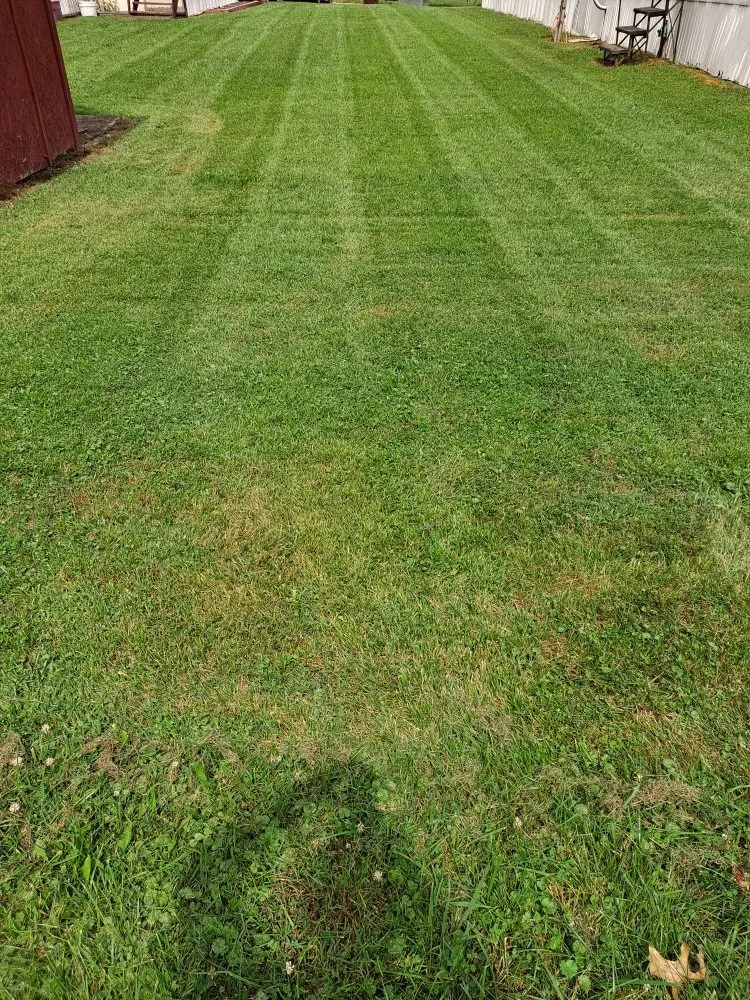 Reliable landscaping services in Amelia, OH by All-American Lawn & Landscape