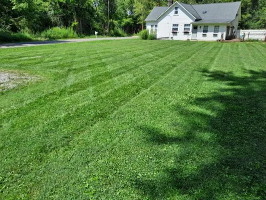 All-American Lawn & Landscape