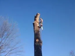 Local landscape installation in Winchester, VA by All American Lawn & Tree Service