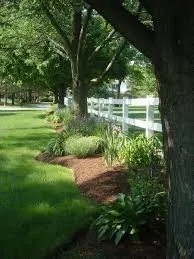 Expert landscape installation for outdoor upgrades across Winchester, VA - All American Lawn & Tree Service