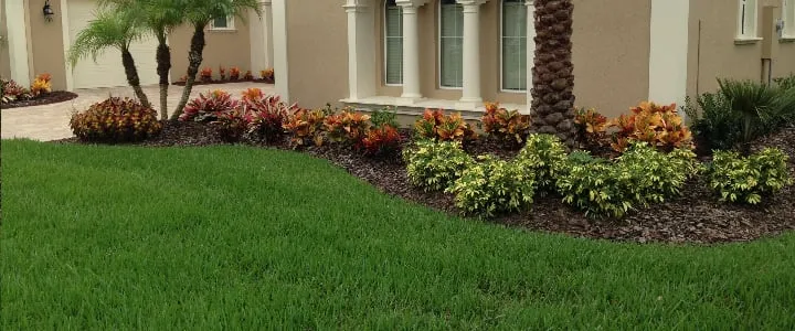 Top-rated lawn mowing service for outdoor upgrades in Plant City, FL by All American Lawn & Tree Specialist