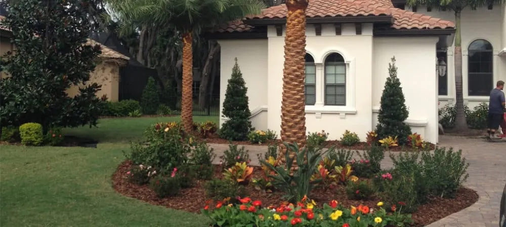 Custom landscaping services in Plant City, FL - All American Lawn & Tree Specialist