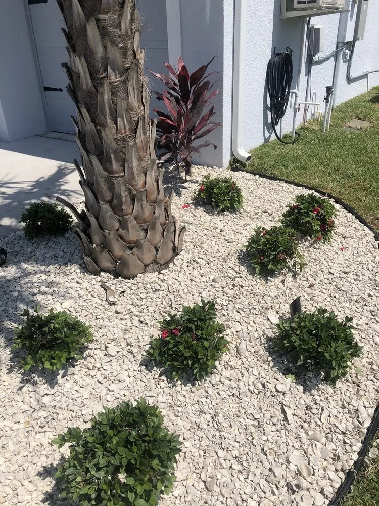 Top-rated yard maintenance for homes across Plant City, FL - All American Lawn & Tree Specialist