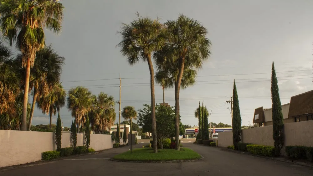 Trusted residential landscaping for year-round maintenance across Plant City, FL - All American Lawn & Tree Specialist