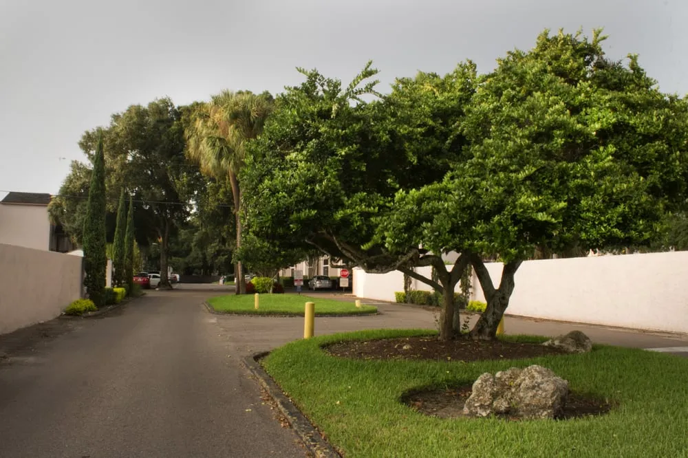 Local lawn care service in Plant City, FL by All American Lawn & Tree Specialist