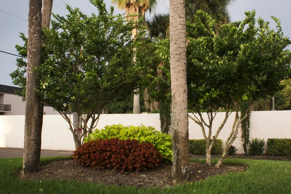 Expert garden landscaping experts serving Plant City, FL - All American Lawn & Tree Specialist