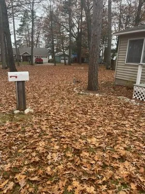 All American Lawn and Home Maintenance