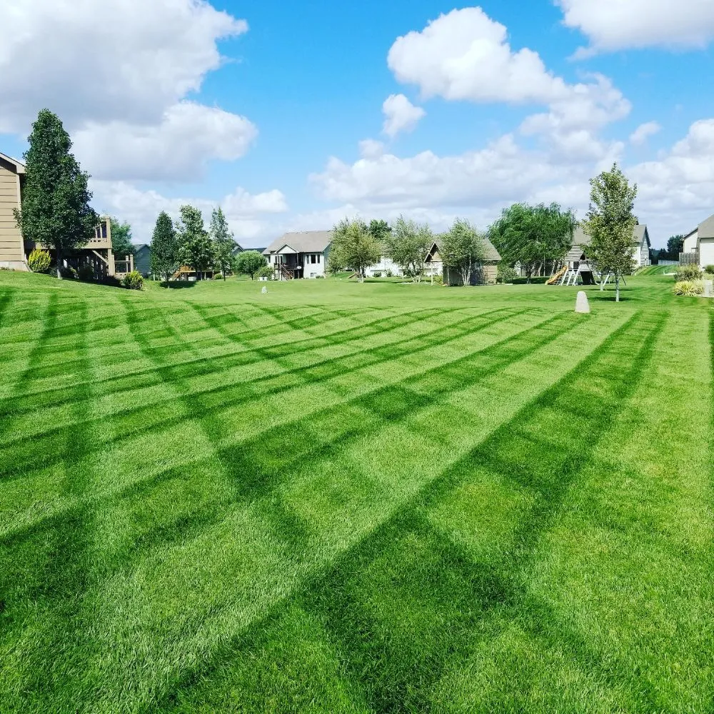 Professional lawn mowing service for residential properties in Conway Springs, KS by All American Lawn And Landscape