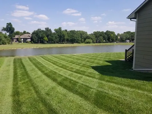 All American Lawn And Landscape