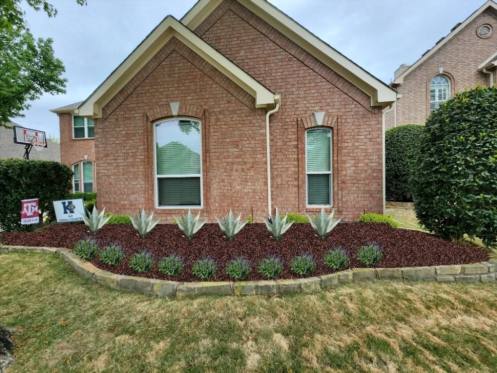 Trusted yard maintenance for beautiful yards across Euless, TX - All American Lawn and Tree Service