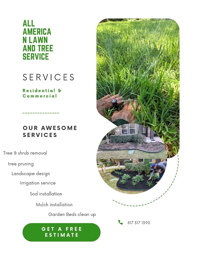 Local lawn care service in Euless, TX by All American Lawn and Tree Service