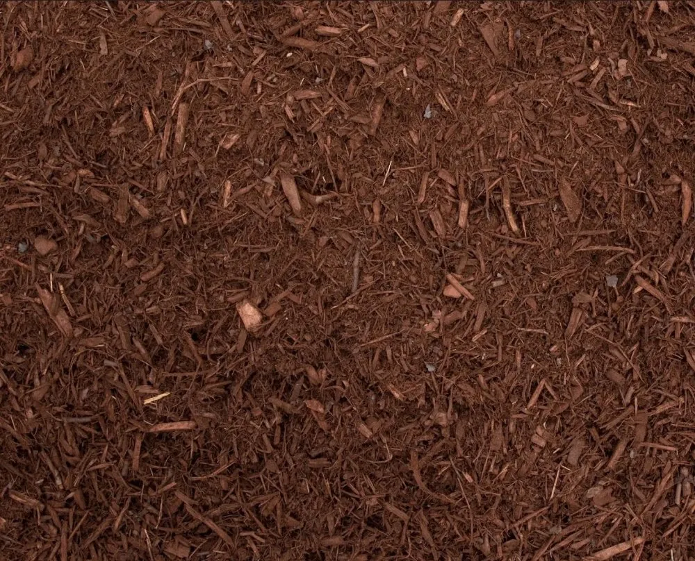 Affordable landscape design in Euless, TX - All American Lawn and Tree Service