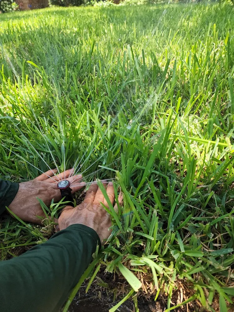 Reliable residential landscaping in Euless, TX - All American Lawn and Tree Service