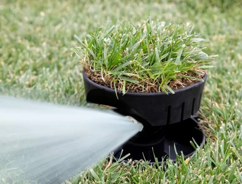 Custom lawn mowing service experts serving Euless, TX - All American Lawn and Tree Service