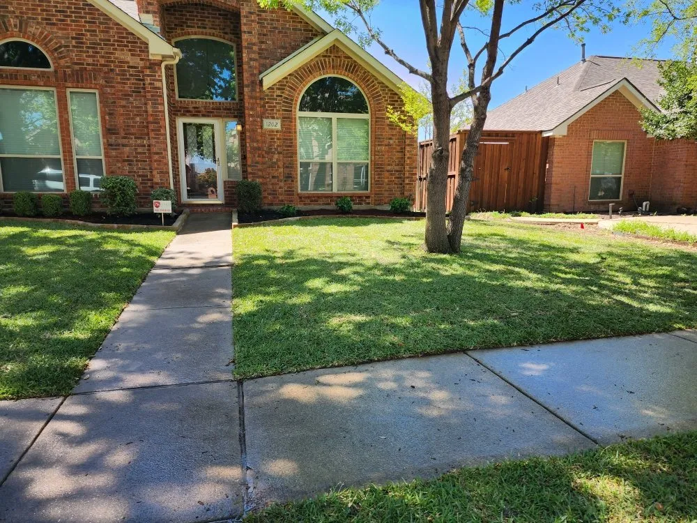 Top-rated yard maintenance for residential properties across Euless, TX - All American Lawn and Tree Service