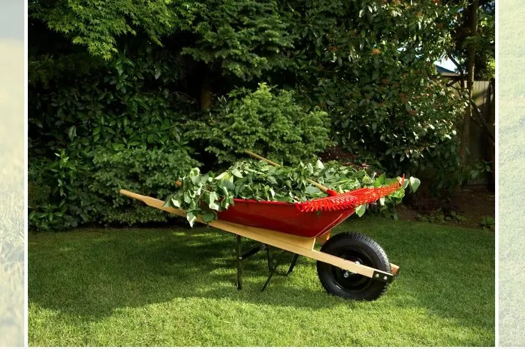 Reliable outdoor landscaping for year-round maintenance across Chapel Hill, NC - All American Lawn Care & Landscaping