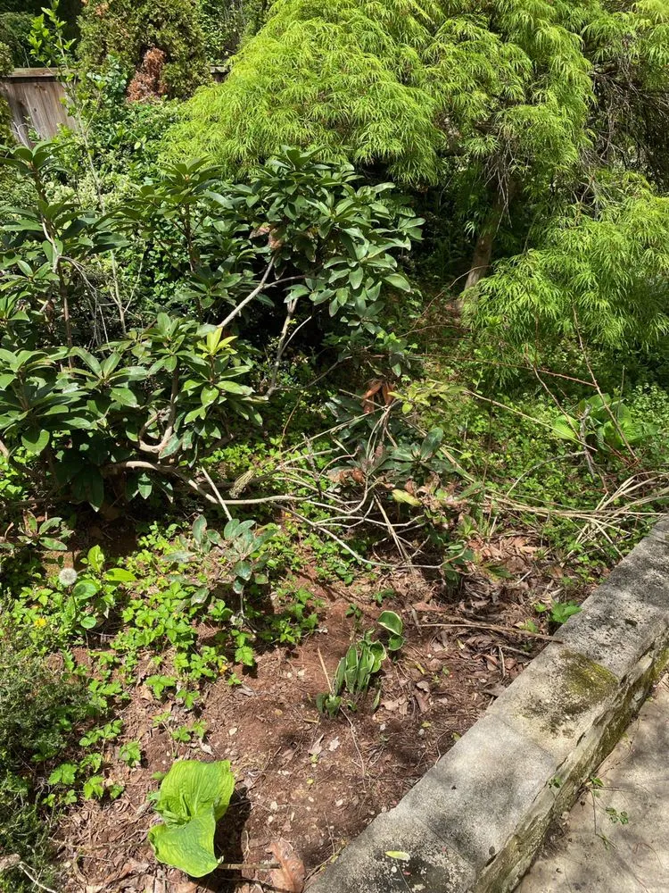 Expert landscape design experts serving Woodbridge, VA - All American Lawn Care and Landscaping