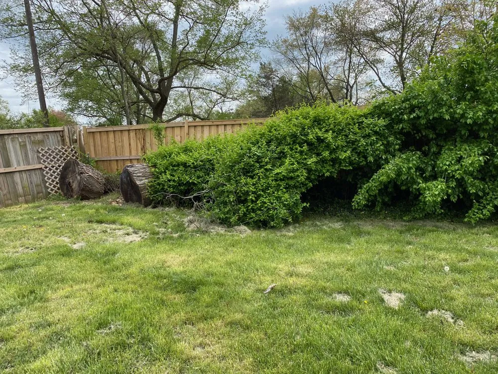 Reliable outdoor landscaping in Woodbridge, VA - All American Lawn Care and Landscaping