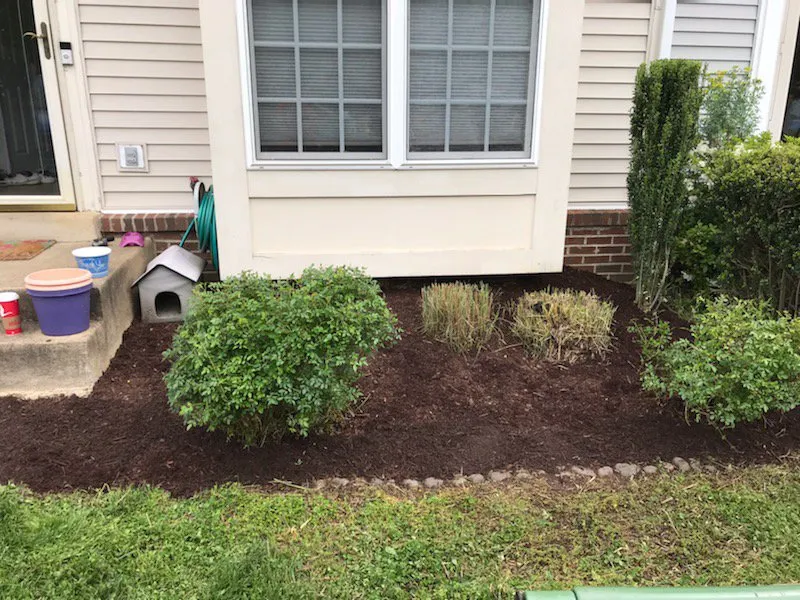 Top-rated lawn care service in Woodbridge, VA by All American Lawn Care and Landscaping