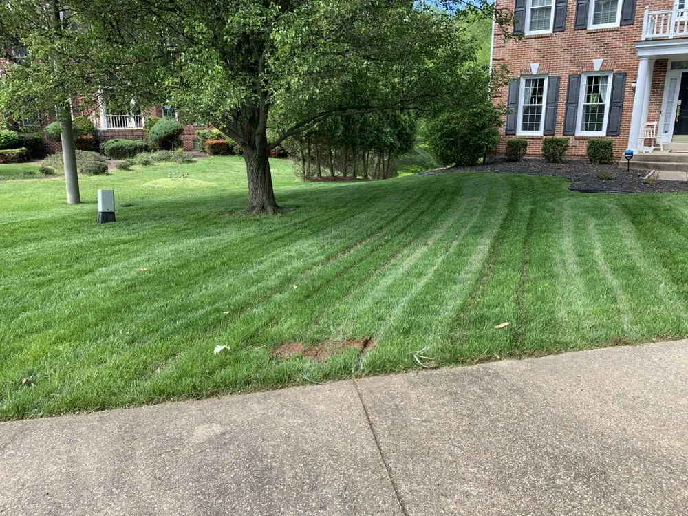 Expert yard cleanup service experts serving Woodbridge, VA - All American Lawn Care and Landscaping