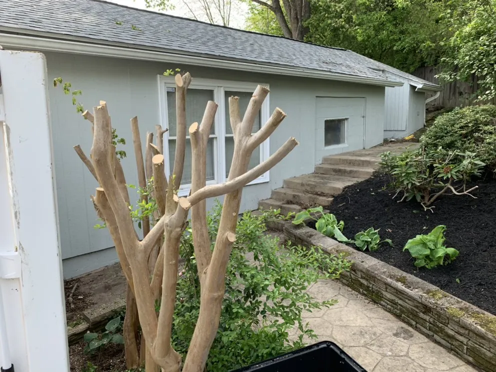 Local outdoor landscaping near you in Woodbridge, VA by All American Lawn Care and Landscaping