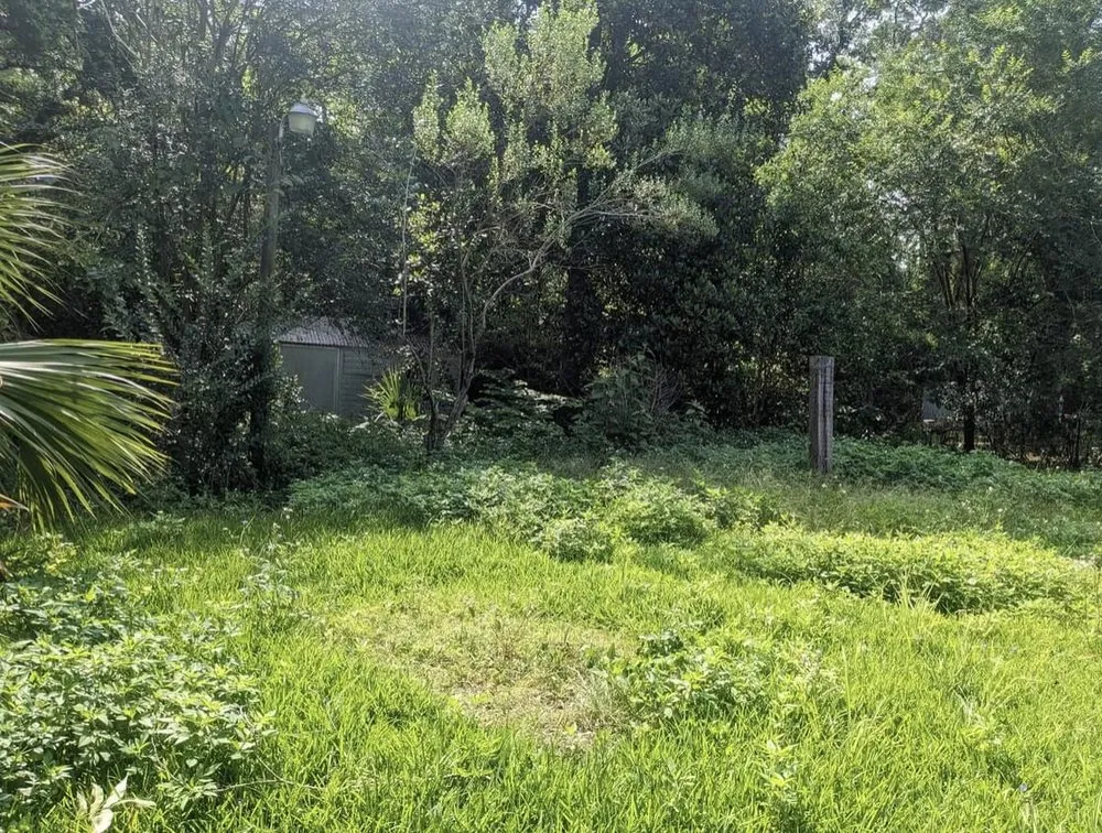 Expert landscaping services experts serving Bishopville, SC - All American Lawn Care