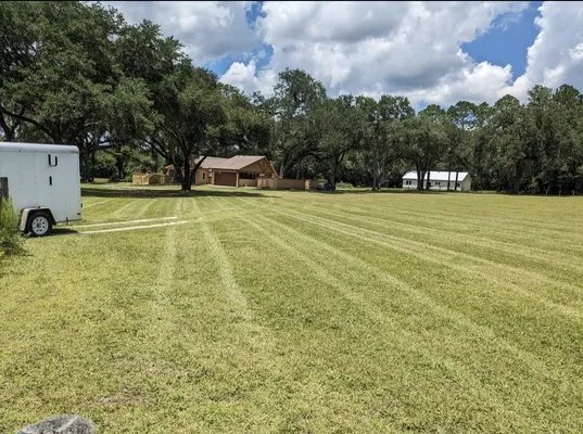 All American Lawn Care