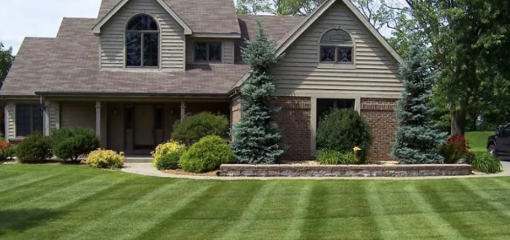 Reliable yard maintenance for year-round maintenance in Burgaw, NC by All American Lawn Care