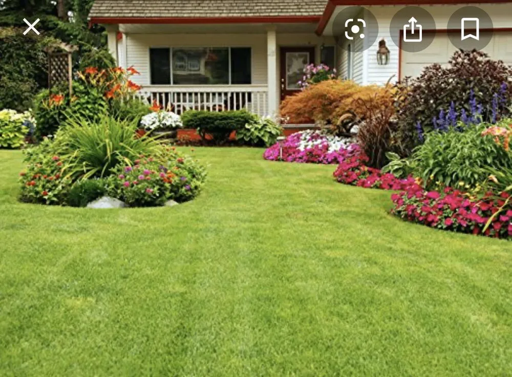 Expert landscaping services for beautiful yards in Burgaw, NC by All American Lawn Care