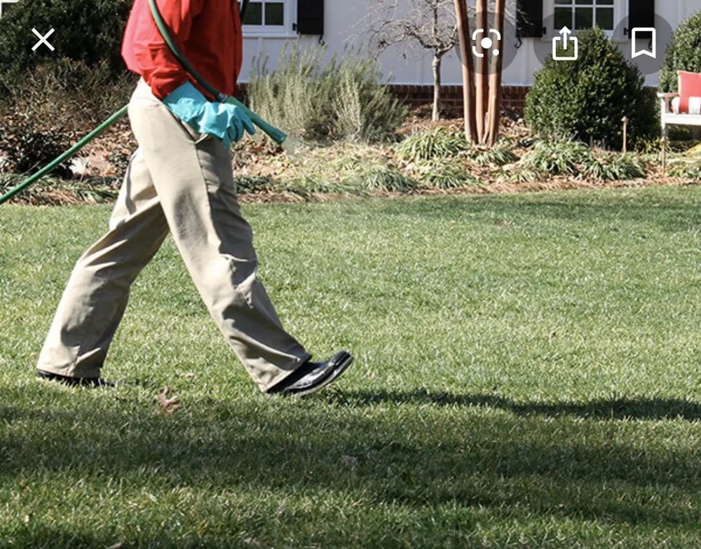 Custom residential landscaping experts serving Burgaw, NC - All American Lawn Care