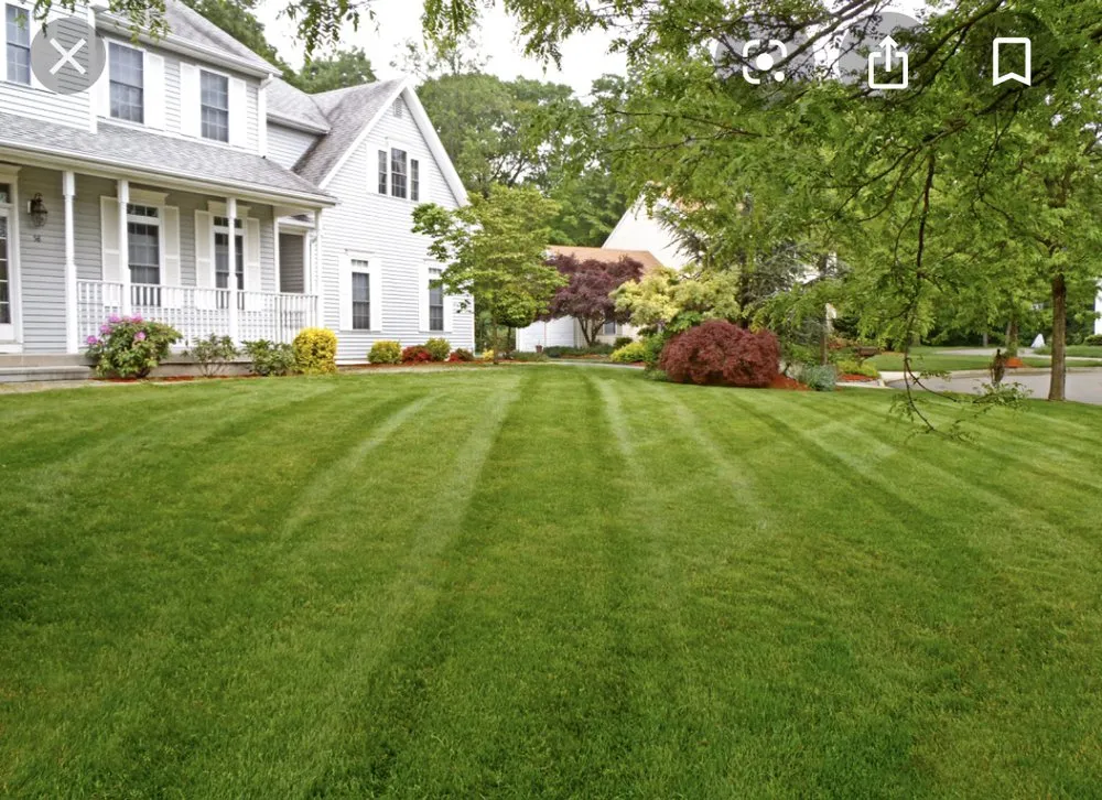 Trusted yard cleanup service for residential properties across Burgaw, NC - All American Lawn Care